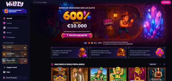 Wildzy Casino - Aperçu